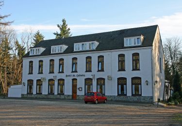 Excursión A pie Wegberg - Traumweg Dalheimer Schweiz - Photo