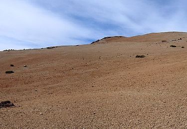 Excursión A pie Los Realejos - S-6 Montaña de Los Tomillos - Photo