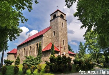 Randonnée A pied Inconnu - Szlak pieszy niebieski (Jaworzno) - Photo