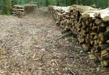 Tour Wandern Le Gâvre - 7.8.2019 Forêt du Gavre - Photo