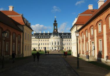 Tocht Te voet Wermsdorf - Wanderroute Forsthaus Seelitz - Photo