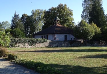 Randonnée A pied Neubulach - Stelzen - Rastplatz Wasen - Photo