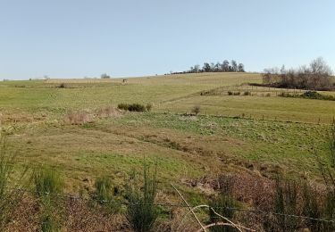 Tour Wandern Chambles - Gorges de la Loire  du 22 -03-2022  jour - 2 - Photo