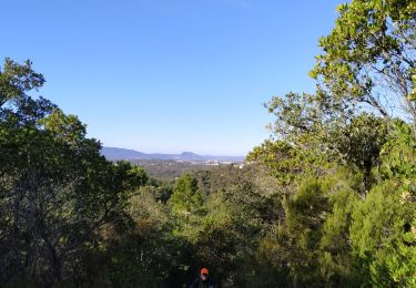 Tour Wandern Saint-Raphaël - dramont les ferrieres - Photo