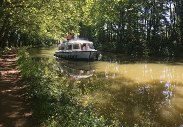 Tour Elektrofahrrad Avignonet-Lauragais - Avignonet-Castelnaudary - Photo