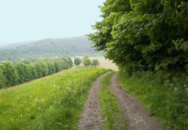 Trail On foot Augustusburg - Großer Ermannsdorfer Rundweg - Photo