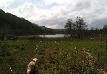 Tocht Stappen Cernon - Belvédère du Chatelet - Lac de Viremont - Photo