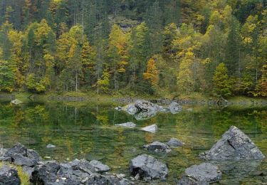 Tocht Te voet Gosau - Gosausee - Hinterer Gosausee - Photo