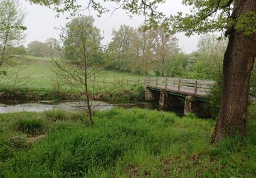 Tocht Noords wandelen Saint-Vaury - gartempe  - Photo