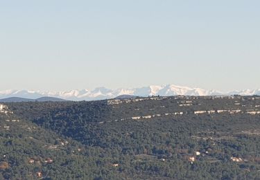 Trail Mountain bike Allauch - Pichauris les antennes par Regage - Photo