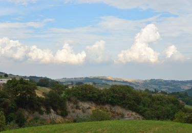 Randonnée A pied Viano - Ca' Bertacchi - Regnano - Santa Maria al Castello - Ca' Bertacchi - Photo