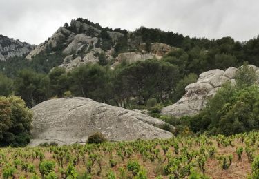 Tocht Stappen Évenos - Les grès de Sainte Anne d'Evenos - Photo