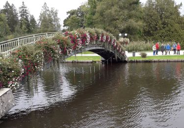 Tour Wandern Bagnoles-de-l'Orne-Normandie - Bagnoles de l' orne - Photo