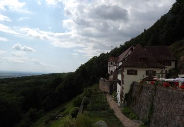 Excursión Senderismo Osenbach - osenbach-schauenberg - Photo