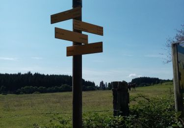 Tocht Stappen Violay - La Tour de Matagrin avec un départ à Violay - Photo