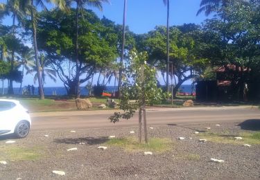 Excursión Senderismo Petite-Île - Piton Grand Anse - Photo