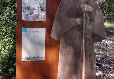 Percorso Marcia Bédoin - Sur les traces du reboisement du Ventoux 1860 - Photo