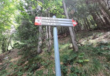 Percorso A piedi Piazzatorre - Sentiero 118: Piazzatorre (Piazzo) - Passo e Casera di Monte Colle - Photo