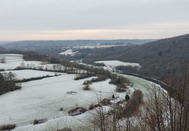 Tour Wandern Neupré - Roche aux Faucons - Boucle de l'Ourthe  - Photo