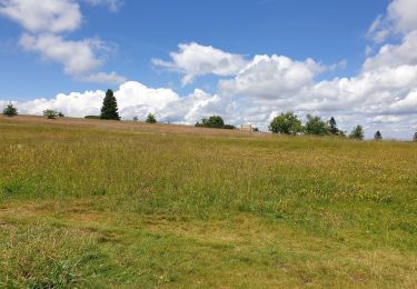 Tour Wandern Schönenberg - Tour du Champ du Feu - Photo