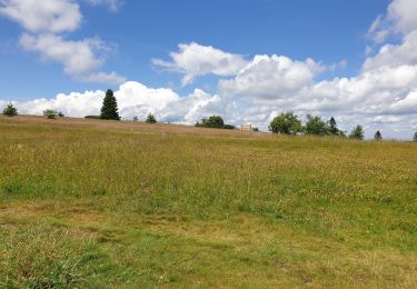 Randonnée Marche Belmont - Tour du Champ du Feu - Photo