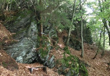 Trail On foot Warmensteinach - Wurzbachweiher-Jägersteig - Photo