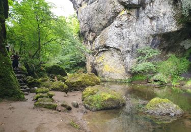 Tocht Stappen Thiézac - Les Gorges du Pas de Cère - Photo