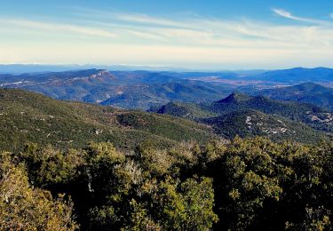 Trail Walking Le Revest-les-Eaux - Stade du Revest - Turcos - Cassini - Retour  - Photo