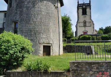 Randonnée Vélo électrique Tonnoy - Vermois-Toulois-Saintois - Photo