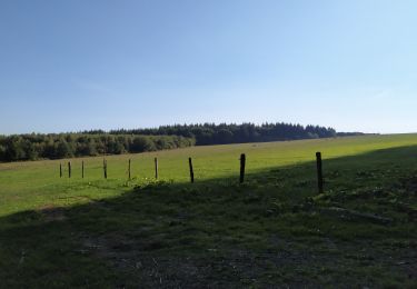 Tour Wandern Bièvre - Bièvre le Maquis promenade 14  - Photo