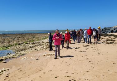 Tour Wandern Saint-Pierre-d'Oléron - St Pierre 1205 - Photo