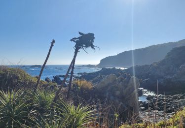 Tocht Stappen Casablanca - quintay - playa chica - Photo