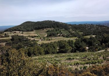 Trail Walking Beaumes-de-Venise - beaumes 84 - Photo