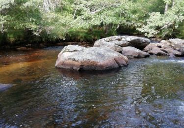 Tour Wandern Bugeat - Fred Bugeat la vezere - Photo