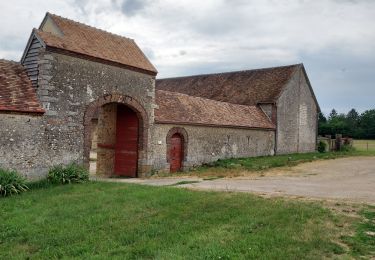 Percorso Marcia Les Vallées de la Vanne - Theil sur Vanne 230618 - Photo