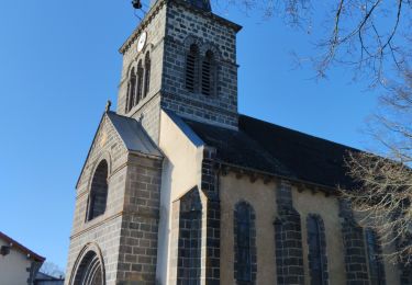 Tocht Stappen Bromont-Lamothe - Le puy de Moufle (revu et corrigé) - Photo