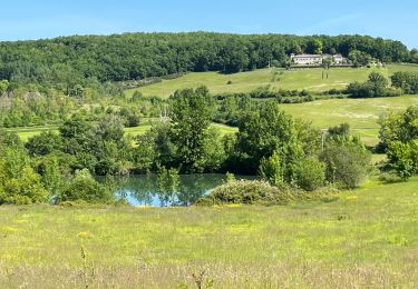 Percorso sport Montcuq-en-Quercy-Blanc - Montcuq Laurette - Photo