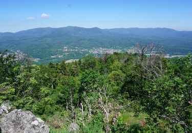 Trail Walking Grendelbruch - Le Piton du Falkenstein - Photo