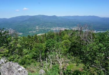 Tocht Stappen Grendelbruch - Le Piton du Falkenstein - Photo