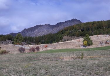 Tocht Stappen Chorges - Au dessus de Chorges - Photo