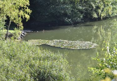 Tour Zu Fuß Adelebsen - Rundwanderweg Güntersen 3 - Photo