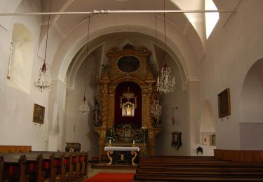 Tour Zu Fuß Gemeinde St. Corona am Wechsel - St. Corona - Almrauschhütte - Kampsteiner Schwaig - Herrgottschnitzerhütte - Simashütte - Orthof - Photo