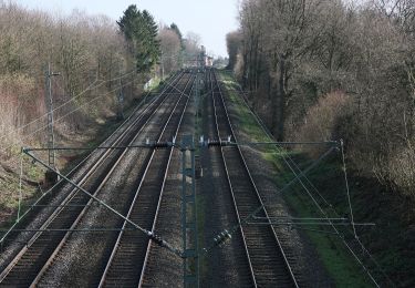 Tour Zu Fuß Erkrath - Doppelbalken Rund um Alt-Erkrath - Photo