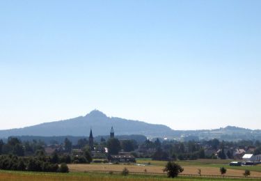 Randonnée A pied Neustadt am Kulm - Neustadt/Kulm Großer Ringweg - Photo