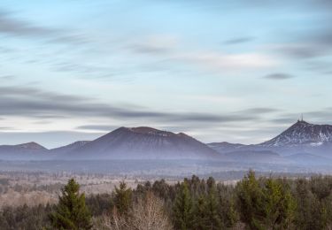 Trail Walking Orcines - Ceyssat_Puy_Grosmanaux - Photo