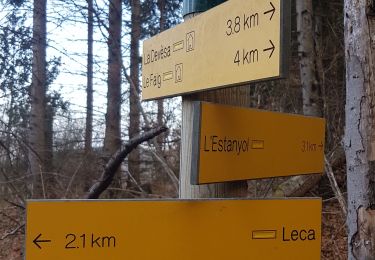 Trail Walking Corsavy - leca cabanes del faig14km 871m 4h45  - Photo