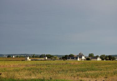 Tocht Te voet Gennes-Val-de-Loire - Le chemin des vieilles pierres - Photo