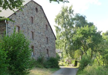 Tocht Te voet Trois-Ponts - GrWandArdBos7: Tussen de meren van Coo - Photo