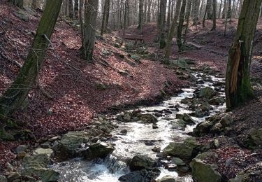 Tour Wandern Spa - vive l'eau de spa - Photo