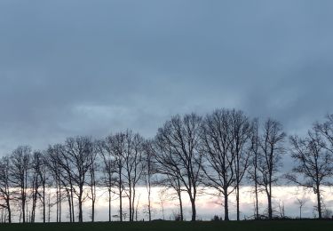 Randonnée Marche Ferrières - dans les pas de Saint Roch - Ferriere - Photo